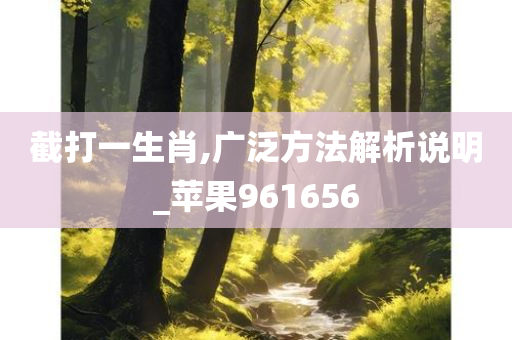 截打一生肖,广泛方法解析说明_苹果961656