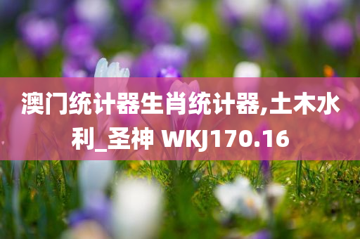 澳门统计器生肖统计器,土木水利_圣神 WKJ170.16