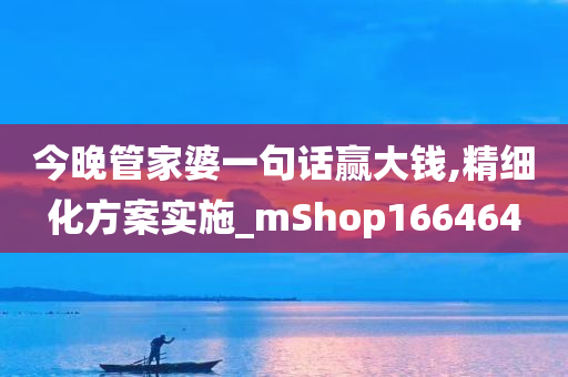 今晚管家婆一句话赢大钱,精细化方案实施_mShop166464