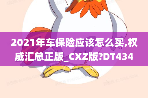 2021年车保险应该怎么买,权威汇总正版_CXZ版?DT434