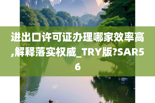 进出口许可证办理哪家效率高,解释落实权威_TRY版?SAR56