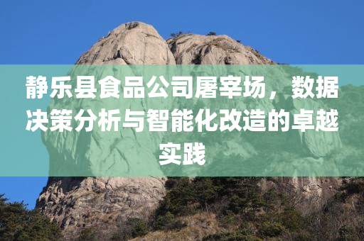 静乐县食品公司屠宰场，数据决策分析与智能化改造的卓越实践