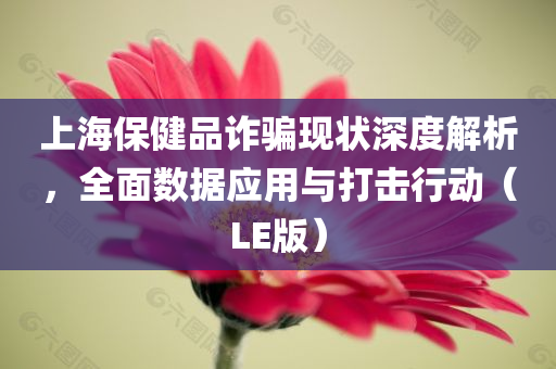 上海保健品诈骗现状深度解析，全面数据应用与打击行动（LE版）