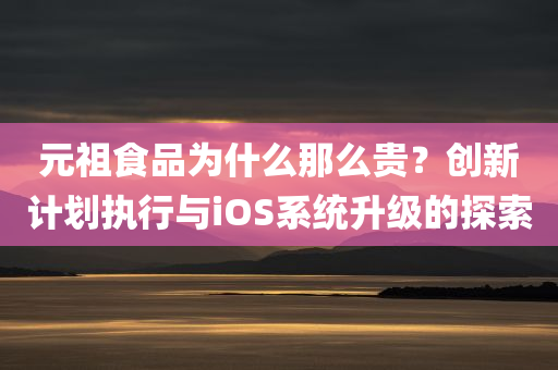 元祖食品为什么那么贵？创新计划执行与iOS系统升级的探索