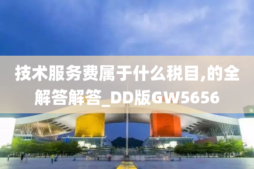 技术服务费属于什么税目,的全解答解答_DD版GW5656