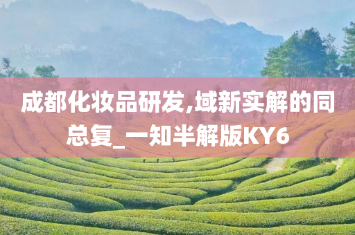 成都化妆品研发,域新实解的同总复_一知半解版KY6