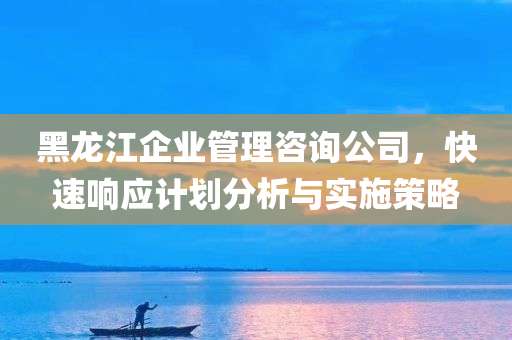 黑龙江企业管理咨询公司，快速响应计划分析与实施策略