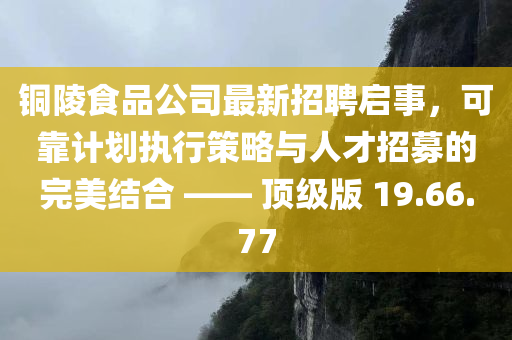 铜陵食品公司最新招聘启事，可靠计划执行策略与人才招募的完美结合 —— 顶级版 19.66.77