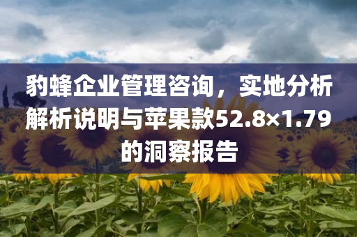 豹蜂企业管理咨询，实地分析解析说明与苹果款52.8×1.79的洞察报告