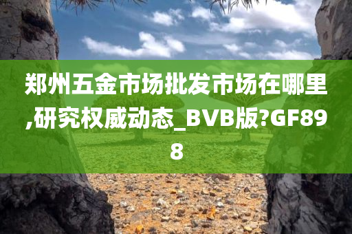 郑州五金市场批发市场在哪里,研究权威动态_BVB版?GF898