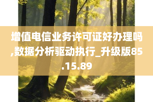 增值电信业务许可证好办理吗,数据分析驱动执行_升级版85.15.89