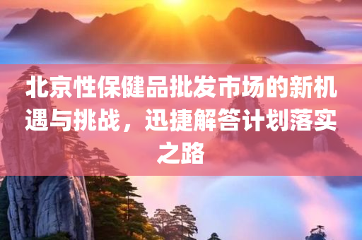 北京性保健品批发市场的新机遇与挑战，迅捷解答计划落实之路