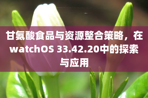 甘氨酸食品与资源整合策略，在watchOS 33.42.20中的探索与应用