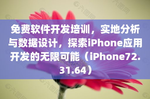 免费软件开发培训，实地分析与数据设计，探索iPhone应用开发的无限可能（iPhone72.31.64）