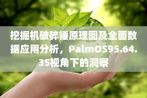 挖掘机破碎锤原理图及全面数据应用分析，PalmOS95.64.35视角下的洞察