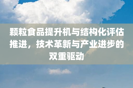 颗粒食品提升机与结构化评估推进，技术革新与产业进步的双重驱动