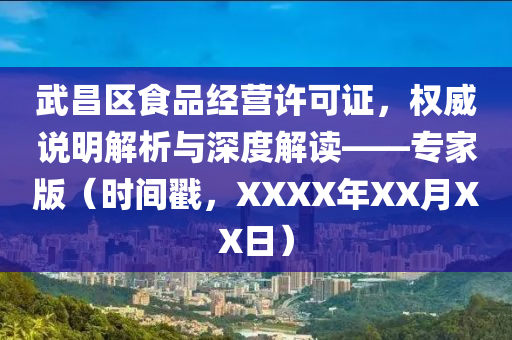 武昌区食品经营许可证，权威说明解析与深度解读——专家版（时间戳，XXXX年XX月XX日）