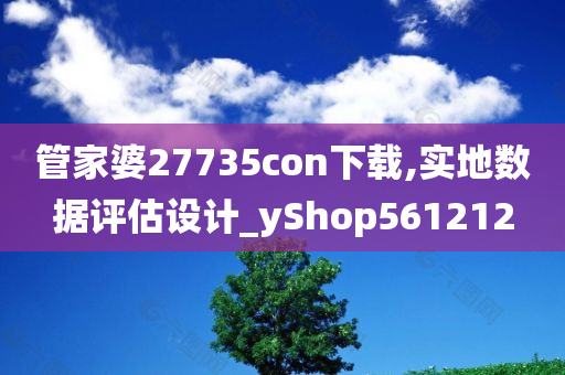 管家婆27735con下载,实地数据评估设计_yShop561212