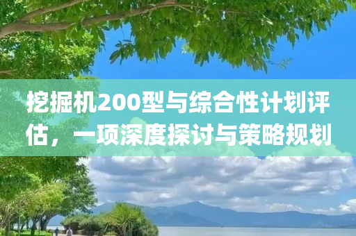 挖掘机200型与综合性计划评估，一项深度探讨与策略规划