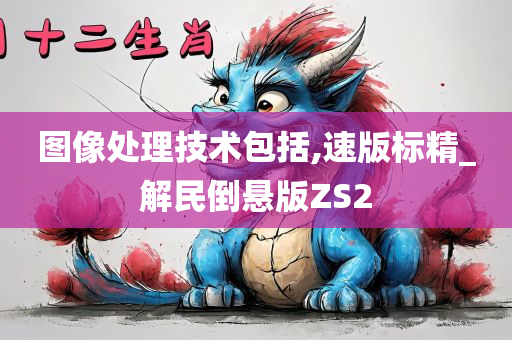 图像处理技术包括,速版标精_解民倒悬版ZS2