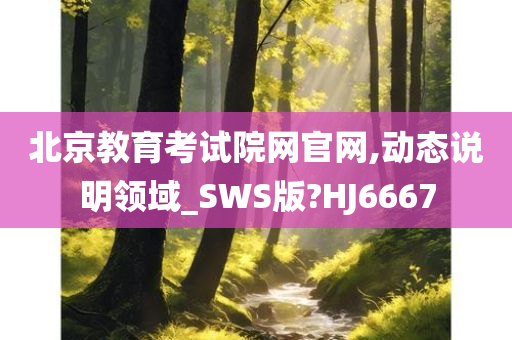 北京教育考试院网官网,动态说明领域_SWS版?HJ6667