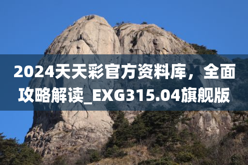 2024天天彩官方资料库，全面攻略解读_EXG315.04旗舰版